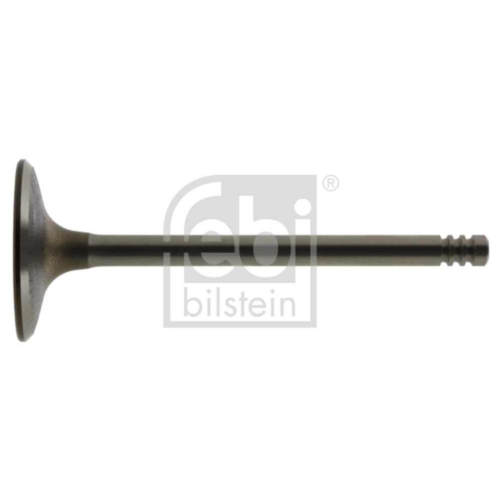 BMW VALVİT INLET M20