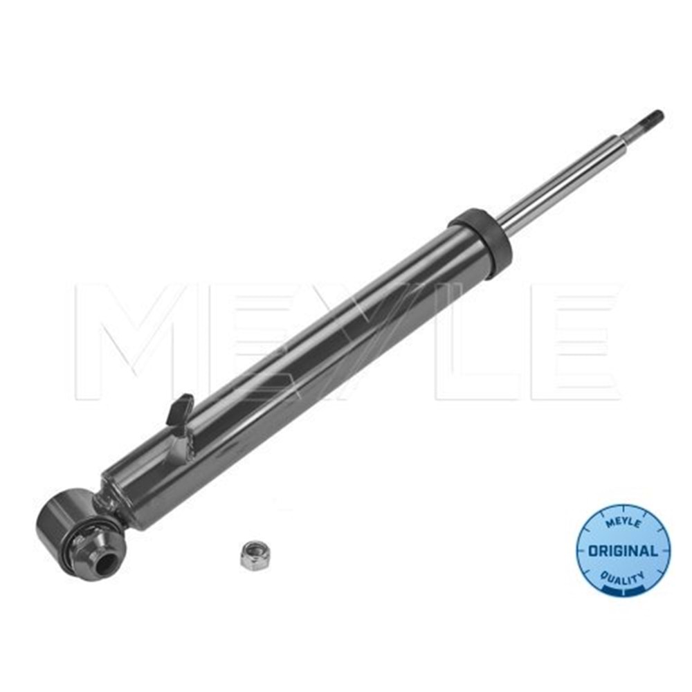 BMW AMORTİSÖR ARKA SOL E70 E71 E72