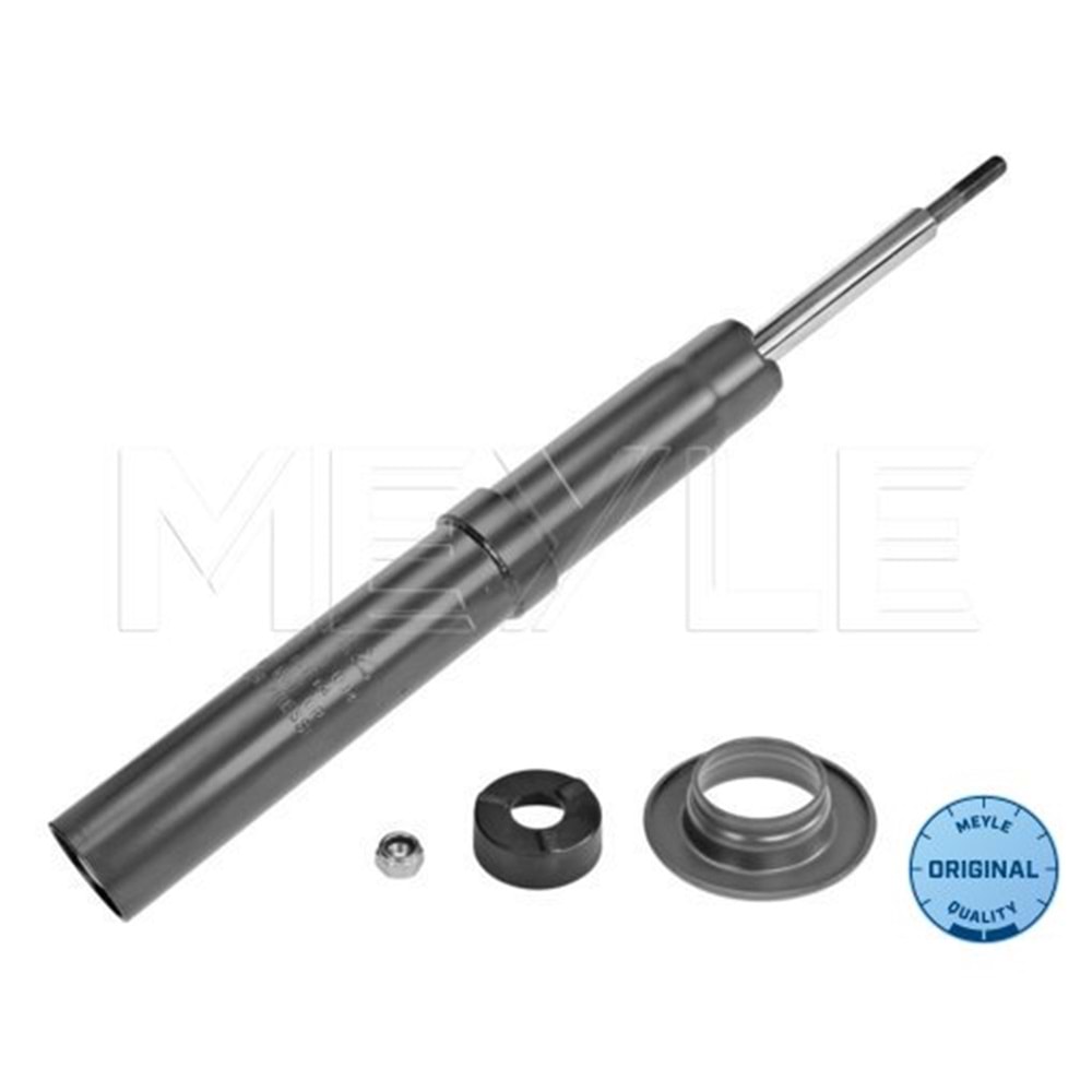 BMW AMORTİSÖR ÖN E71 E70 E72