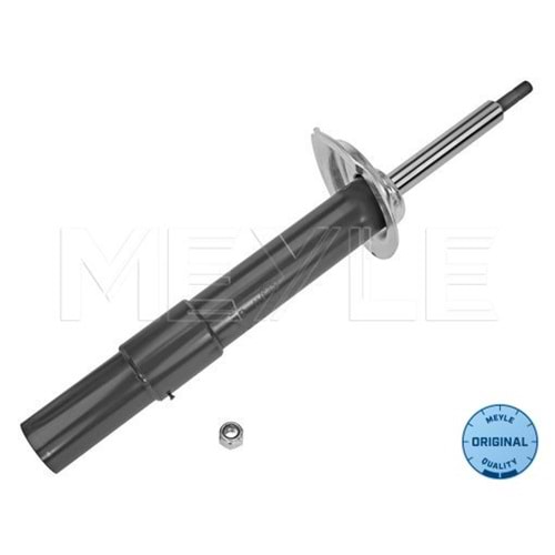 BMW AMORTİSÖR ÖN SAĞ E60