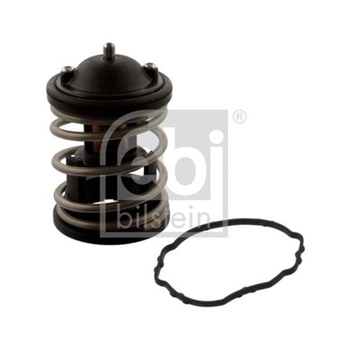 BMW TERMOSTAT N57 N47