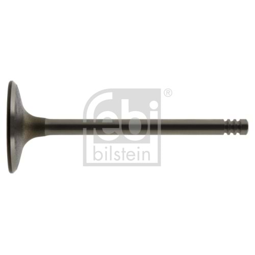 BMW VALVİT INLET M20