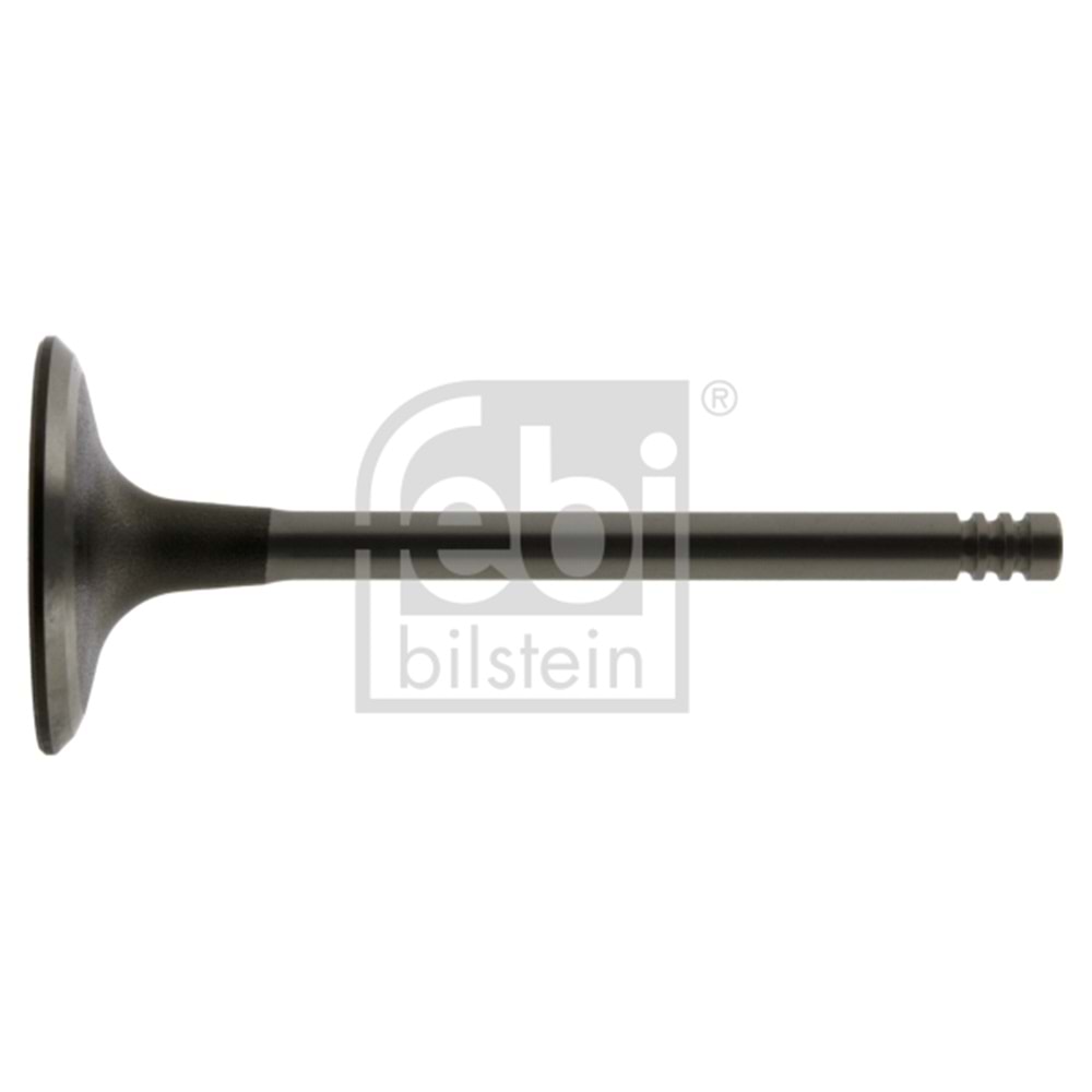 BMW VALVİT INLET M20 2.5