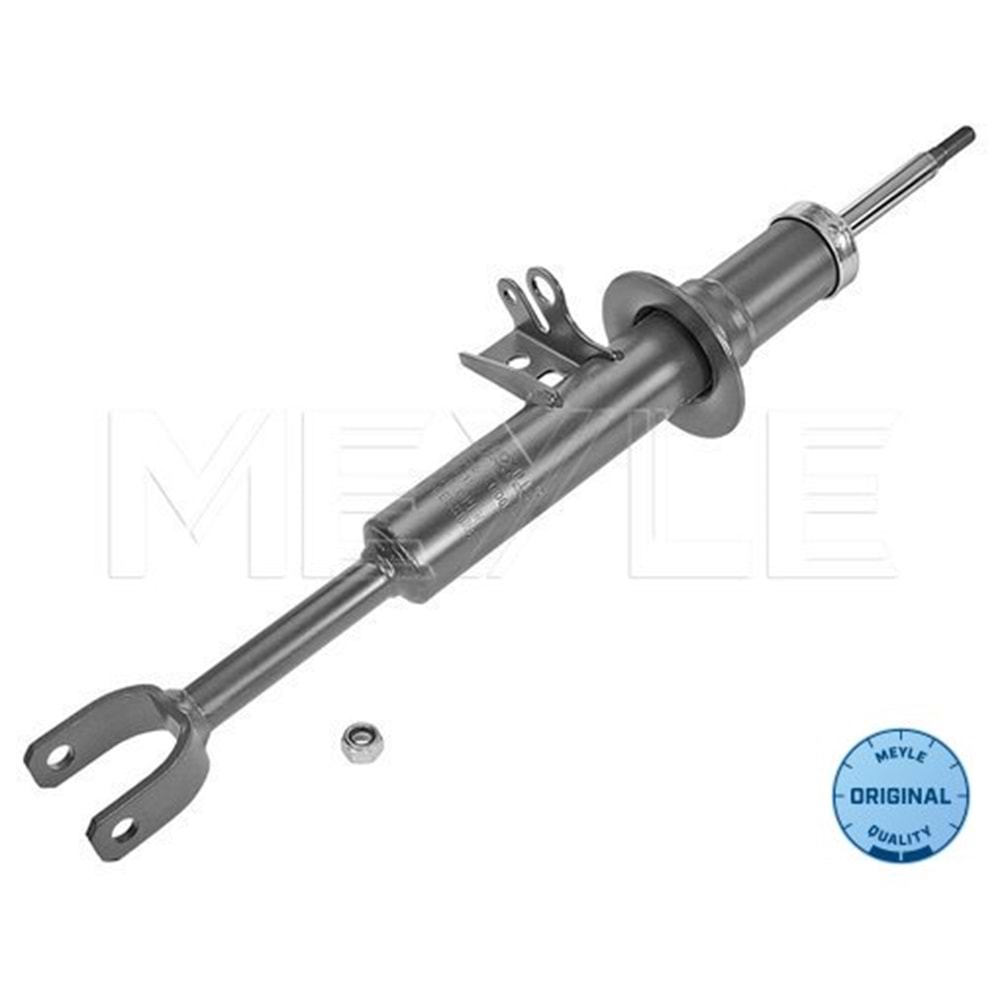 BMW AMORTİSÖR ÖN SOL F10 F11 F13