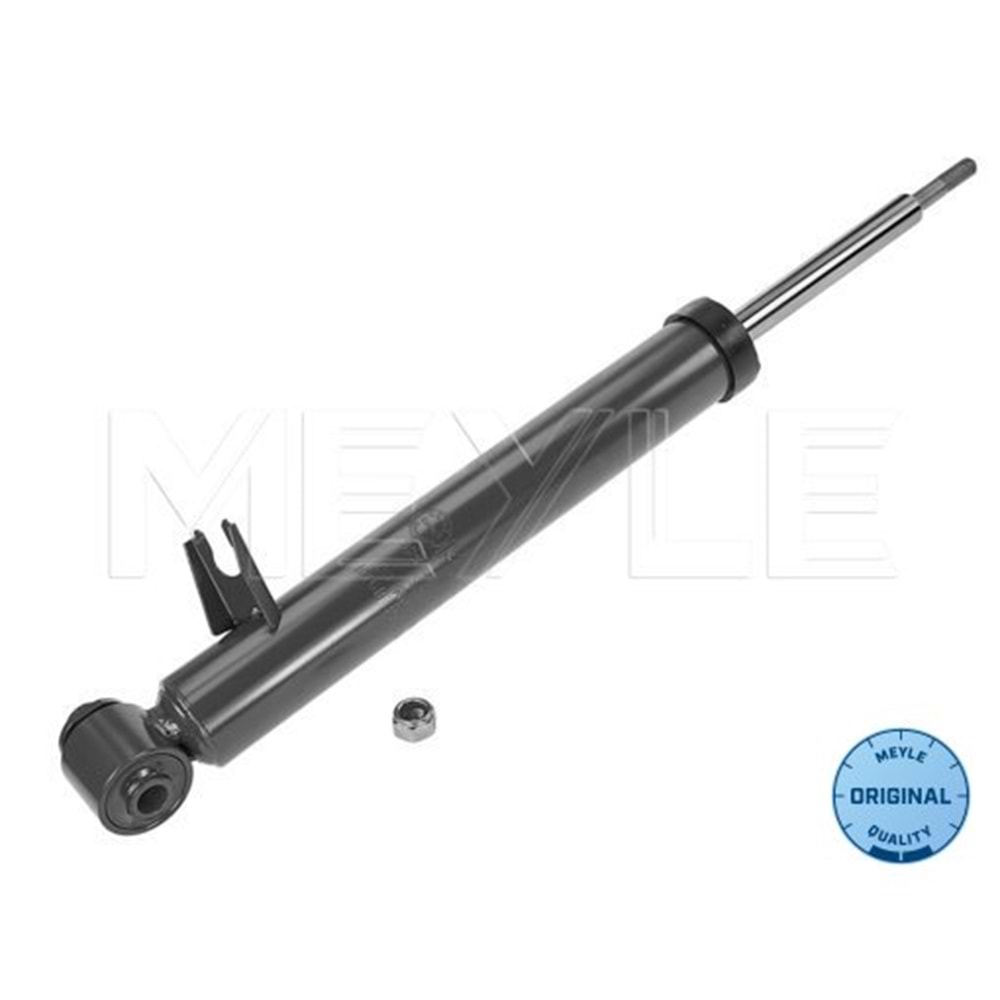 BMW AMORTİSÖR ARKA SAĞ E70 E71 E72