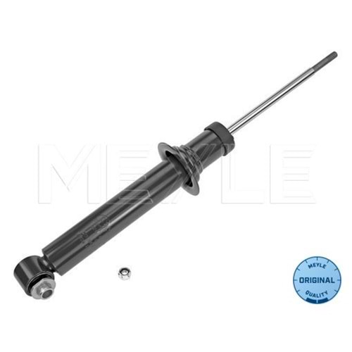 BMW AMORTİSÖR ARKA E60