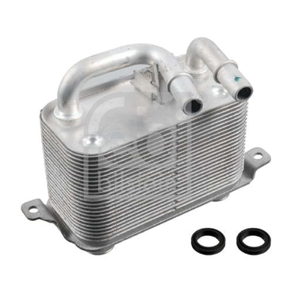 BMW RADYATÖR YAĞ ŞANZINZIMAN E60 E64 E65 N52 N50 N43